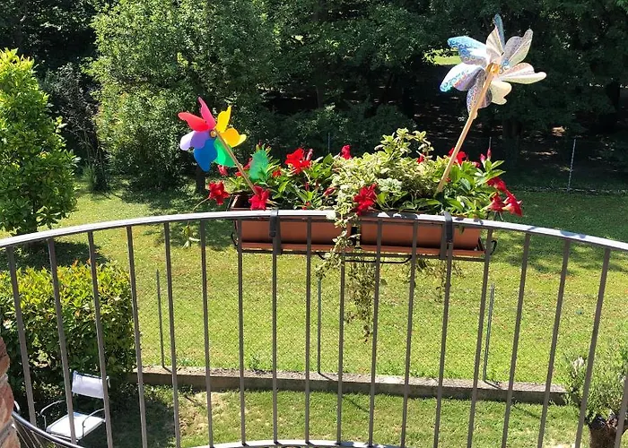 Iris Mogliano Veneto